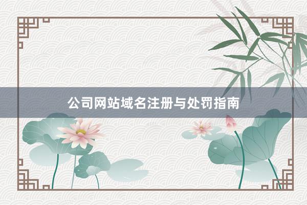 公司网站域名注册与处罚指南