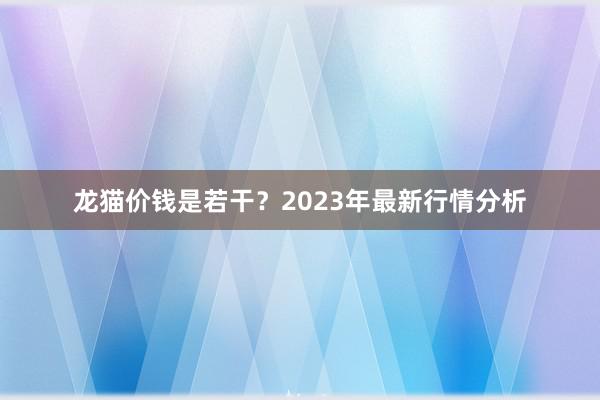 龙猫价钱是若干?2023年最新行情分析