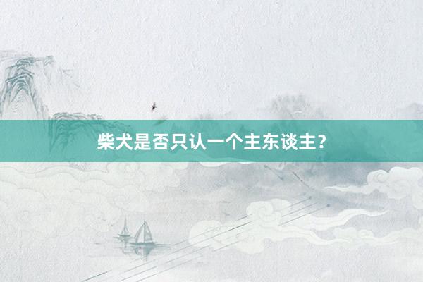 柴犬是否只认一个主东谈主？